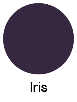 Webbing Purple