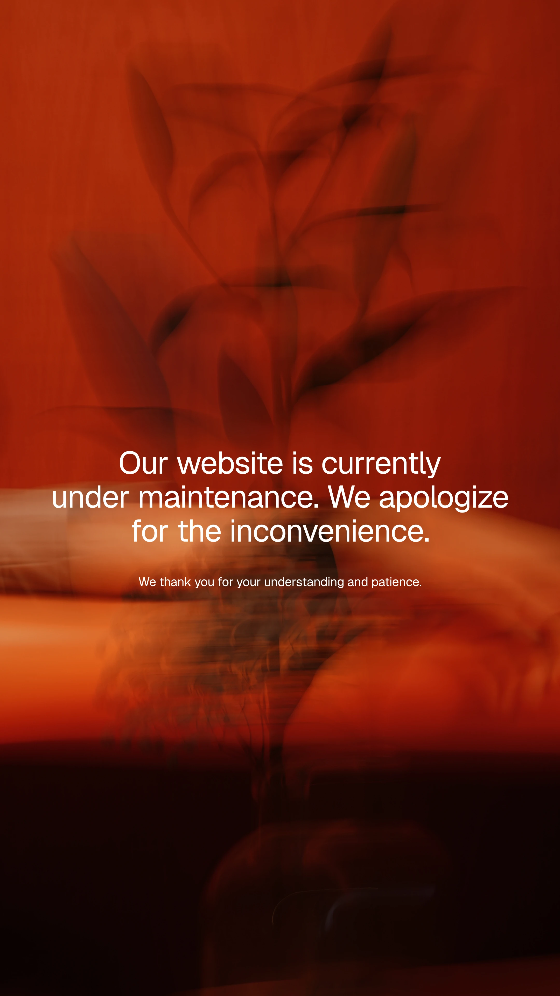 Mobile Image